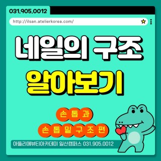 네일아트 구조 알아보기 1탄!
