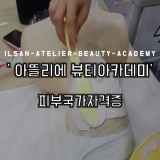 비부반 석고